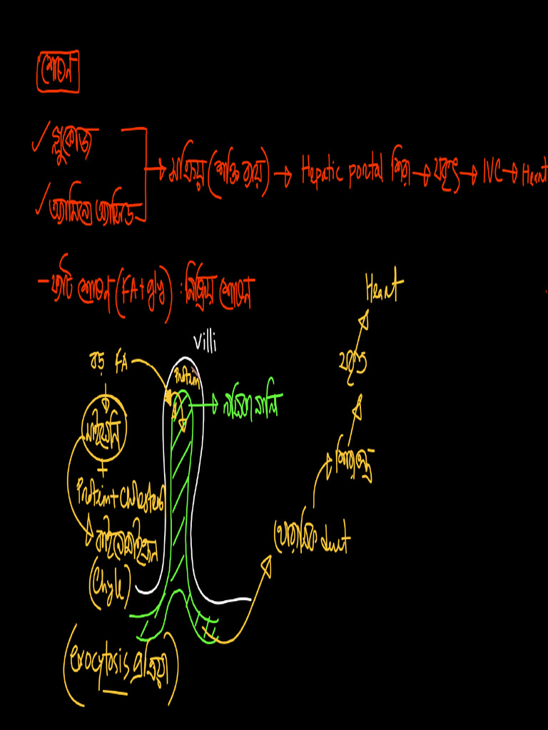 Class Lecture Note Day 4.1 | PDF
