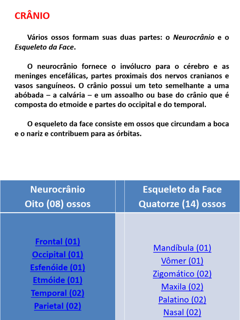 Anatomia Radiológica Do Crânio Pdf Crânio Anatomia Humana