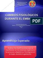 Cambios Fisiolgicos Durante El Embarazo 2010