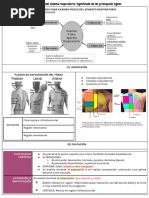 Exploración Física del Tórax | PDF | Sistema respiratorio | Neumología