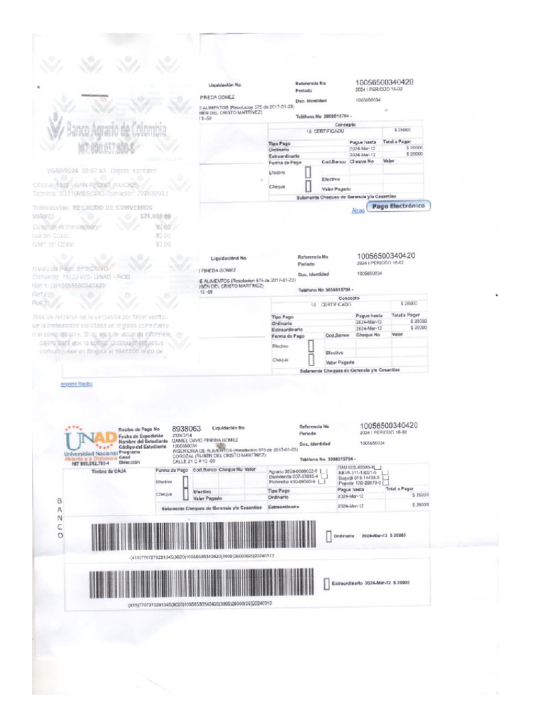 Recibo de Pago 2024 | PDF