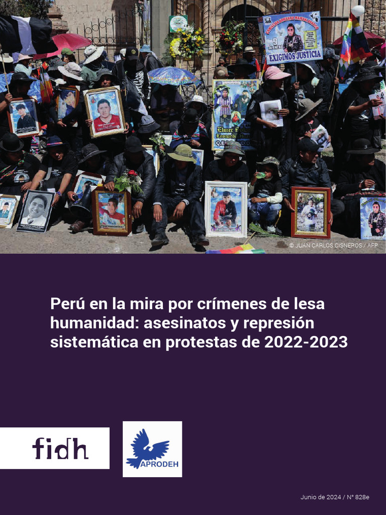 Los argumentos de la denuncia contra Dina Boluarte ante la Corte Penal Internacional