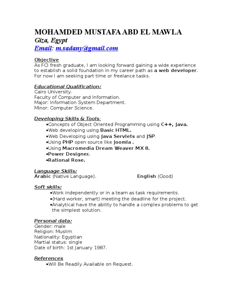 Web Developer Resume - Mohamed Mustafa | PDF