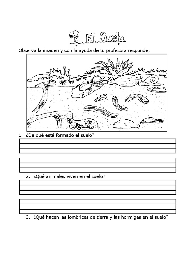 Actividades sobre el Suelo para Niños | PDF | Suelo