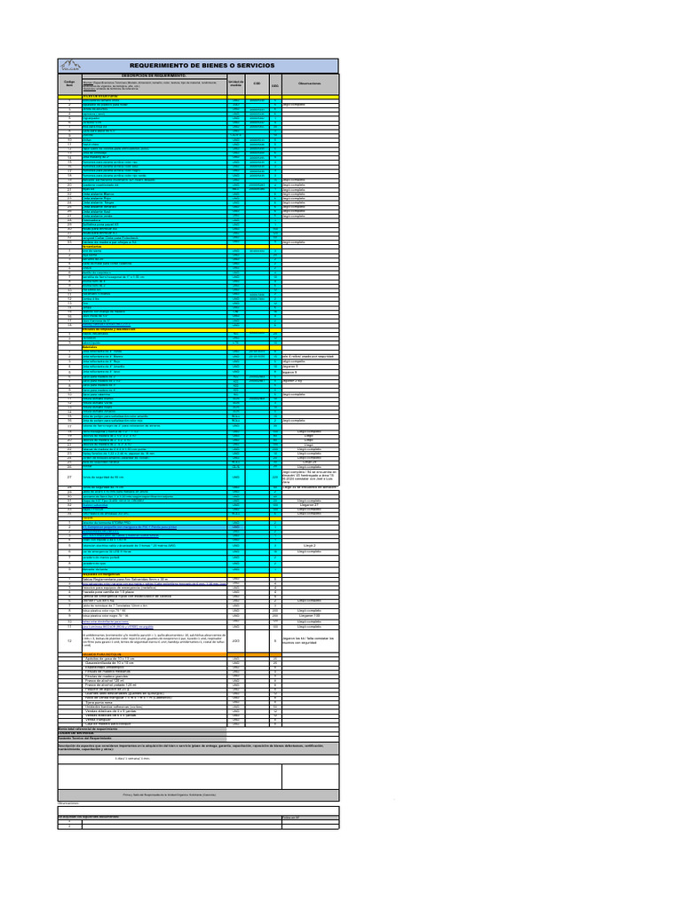 Requerimiento General SSO - 2024 | PDF | Color
