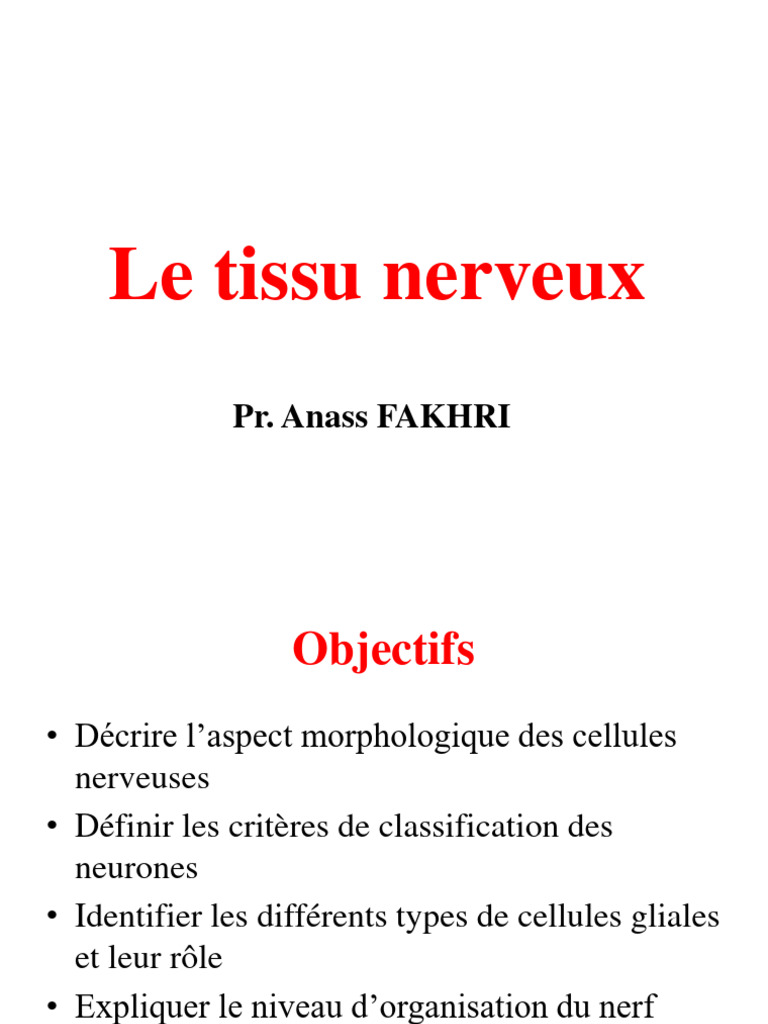 Anatomie et fonctions du tissu nerveux | PDF | Neurone | Système nerveux