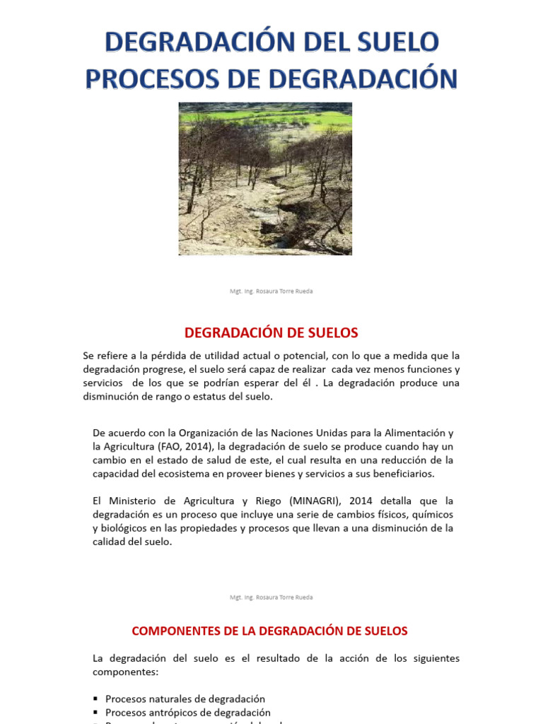 Causas y Consecuencias de la Degradación del Suelo | PDF | Erosión | Suelo