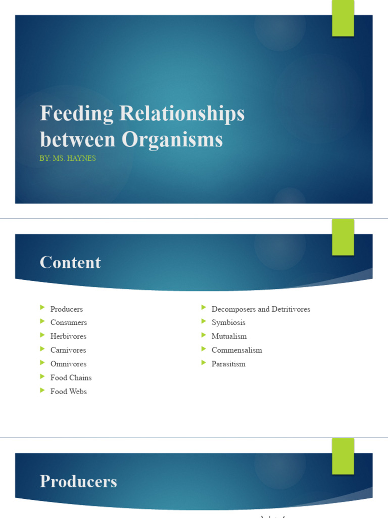 Feeding Relationships Among Organisms | PDF | Food Web | Herbivore