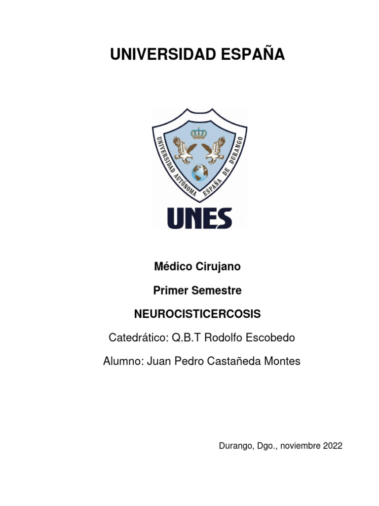 neuro-cist-icer-cos-is-pdf-causas-de-la-muerte-especialidades-medicas