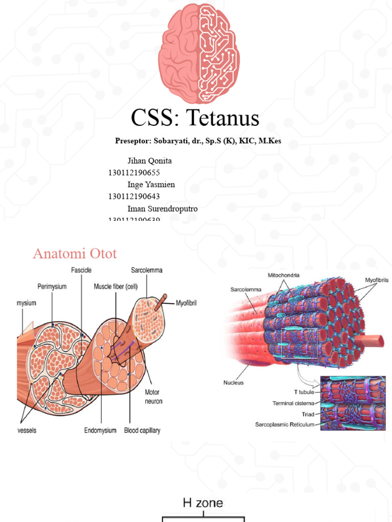 Tetanus: Gejala, Penyebab, dan Penanganan | PDF | Pengembangan Diri
