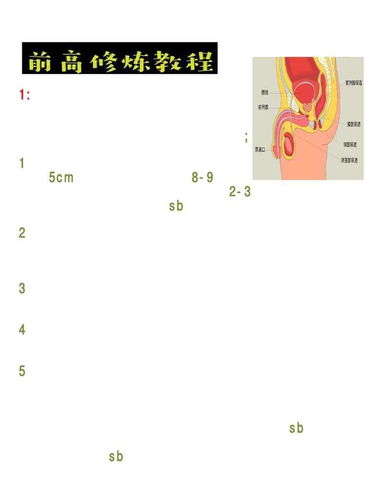 前列腺高潮新方法1 | PDF