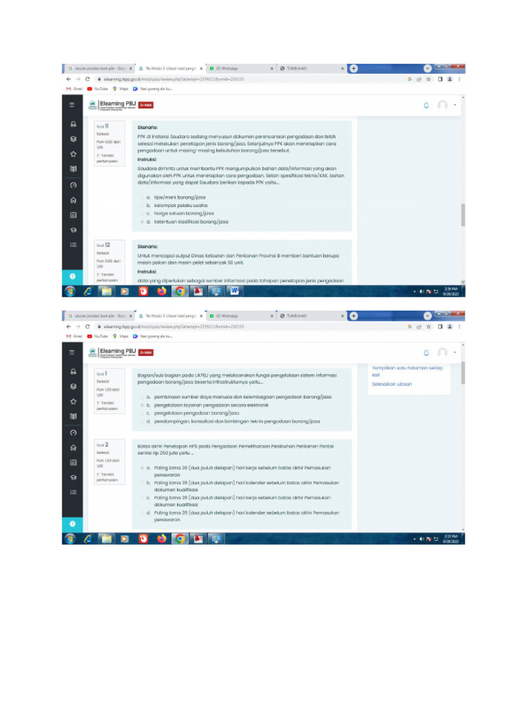Soal Pbjp Level 1 Pdf