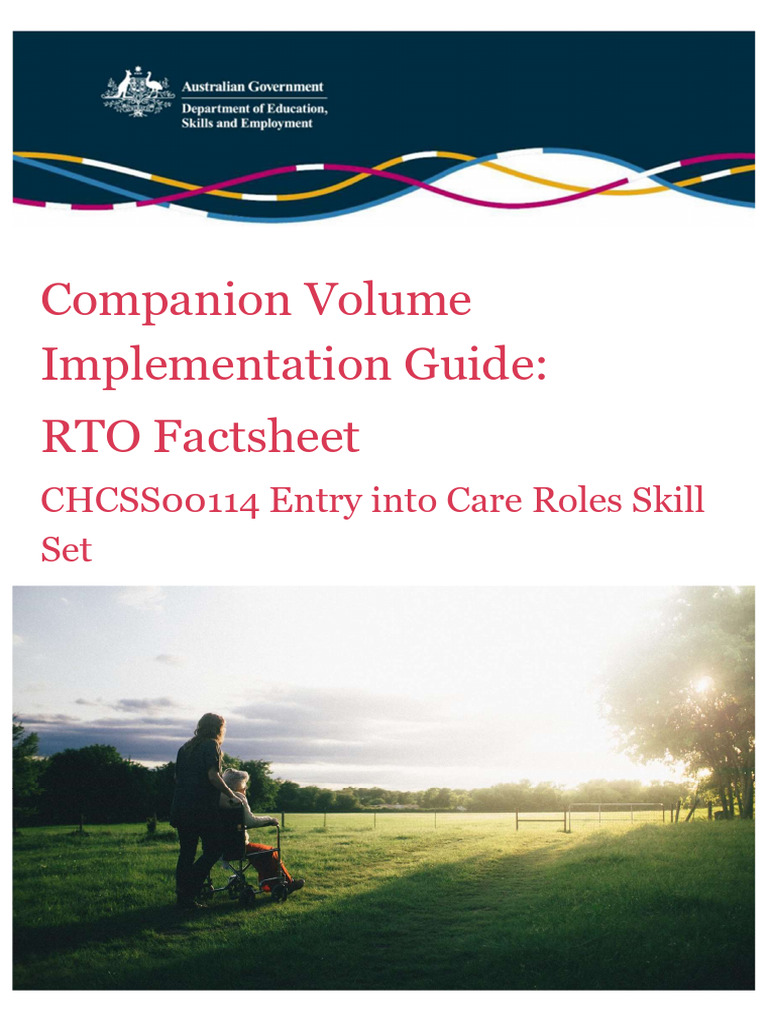RTO Guide: Care Roles Skill Set | PDF | Medical Specialties | Health ...