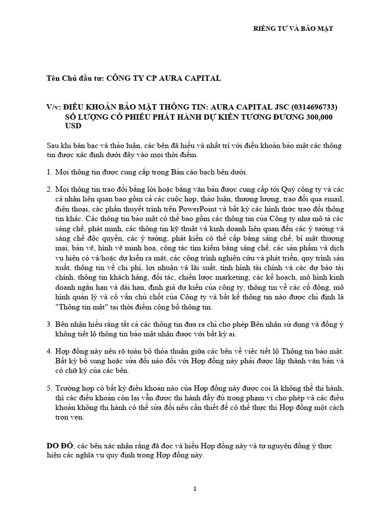 AURA - Flib Term Sheet MR - Toan | PDF