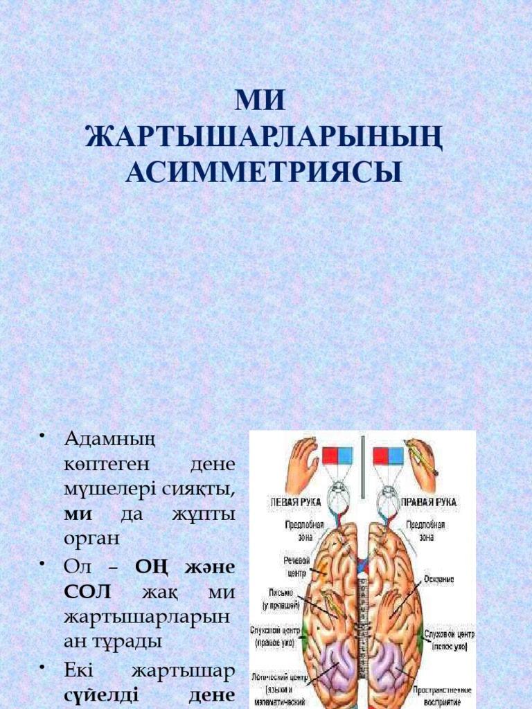 Қоқыс жәшігінің артындағы порно