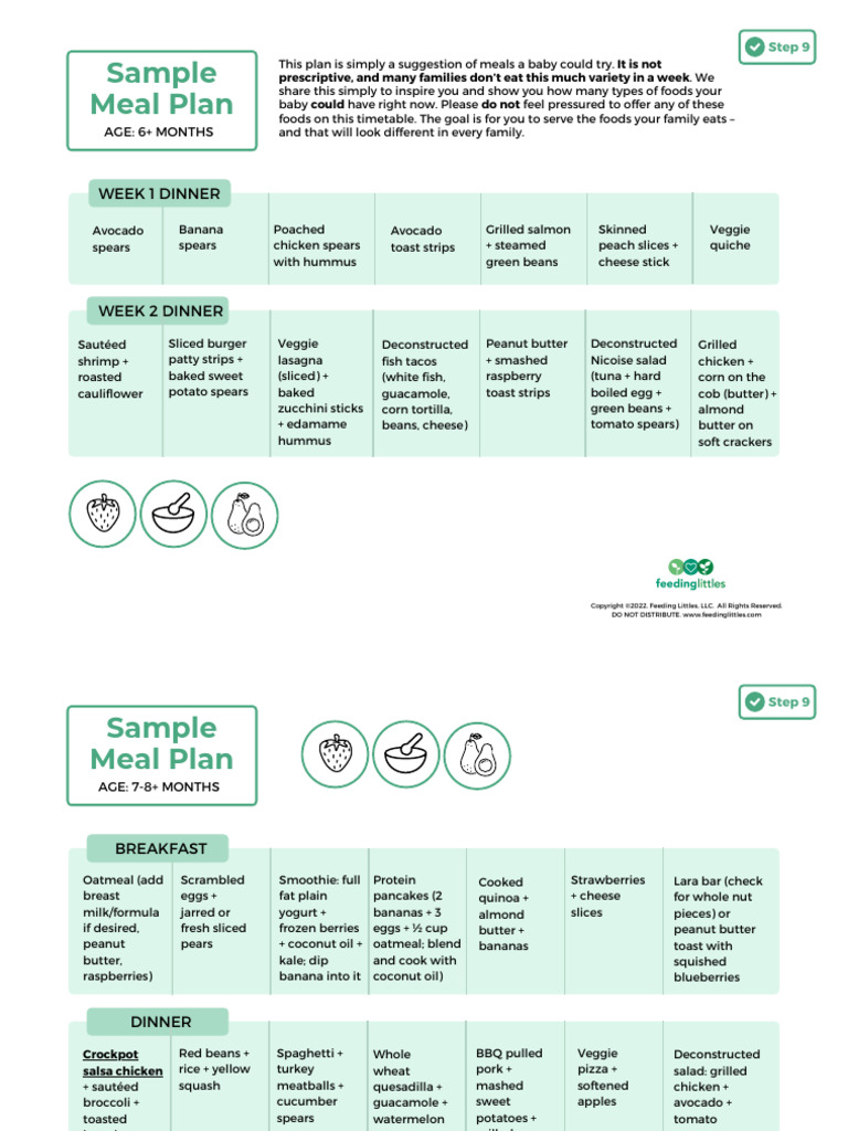 Copy of INFANT Sample Meal Plan Handout | PDF | Meal | Salad
