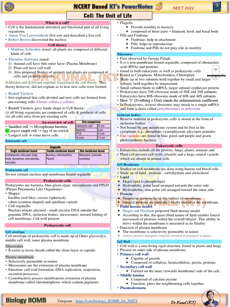 Cell Structure and Function Notes | PDF | Cell (Biology) | Endoplasmic ...