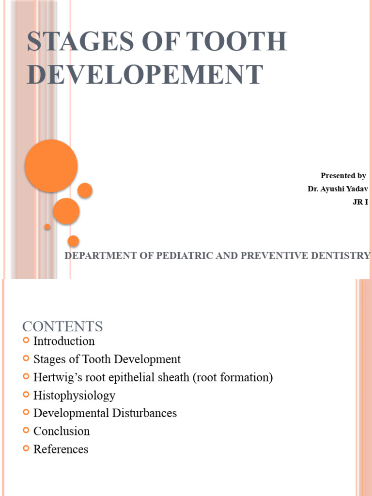 Stages of Tooth Developement | PDF | Human Tooth | Epithelium