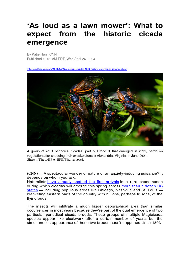 As loud as a lawn mower | PDF | Insects