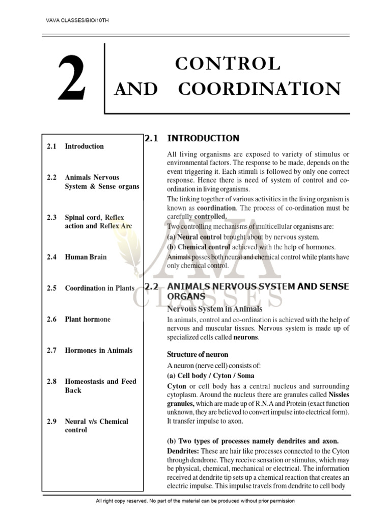 Control and Coordination in Organisms | PDF | Nervous System | Auxin