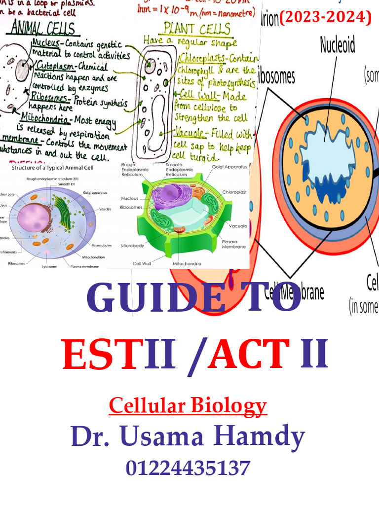 1 Cellular Lesson 1 | PDF | Endoplasmic Reticulum | Cell (Biology)