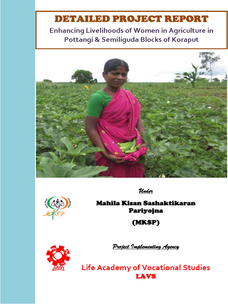 DPR Report Final MKSP | PDF | Poverty | Poverty & Homelessness