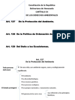 De Los Derechos Ambient Ales. Luis Medina.