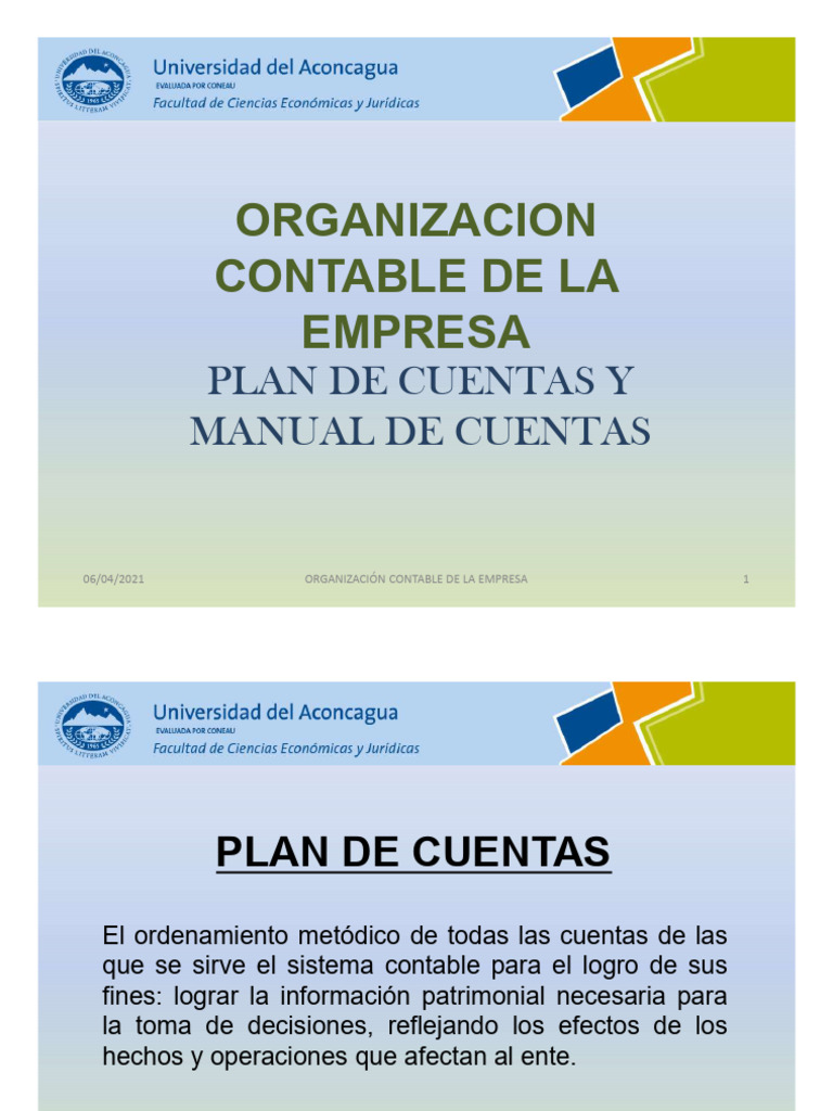 Plan de cuentas y manual de cuentas | PDF | Contabilidad | Business