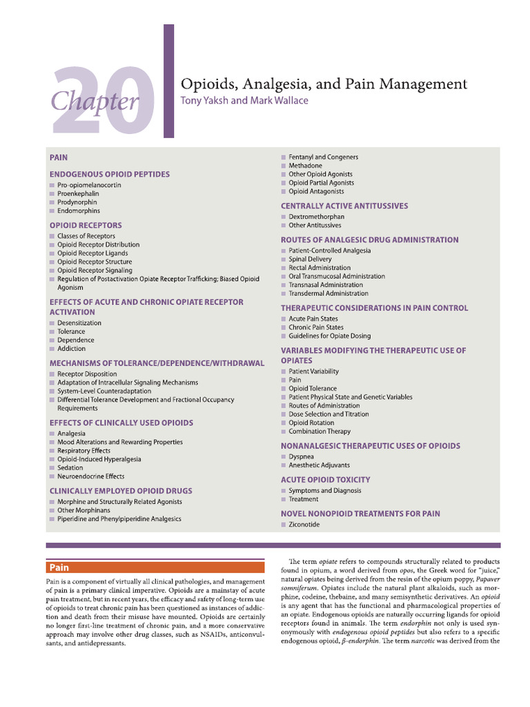0002 Chapter 20 Opioids, Analgesia, and Pain Management | PDF