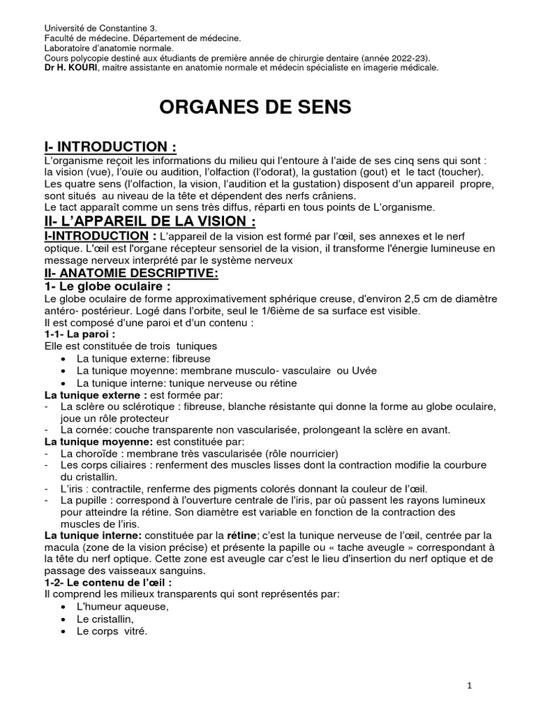 Anatomie des organes des sens humains | PDF | Oreille | Langue