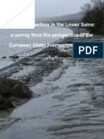 Macrozoobenthos in The Lower Seine: A Survey From The Perspetive of The European Water Framework Directive