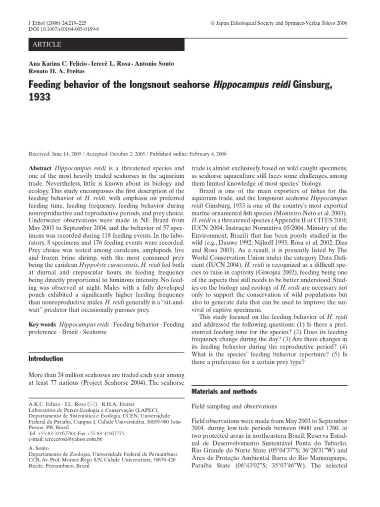 feeding-behavior-of-the-longsnout-seahorse-hippocampus-reidi-ginsburg