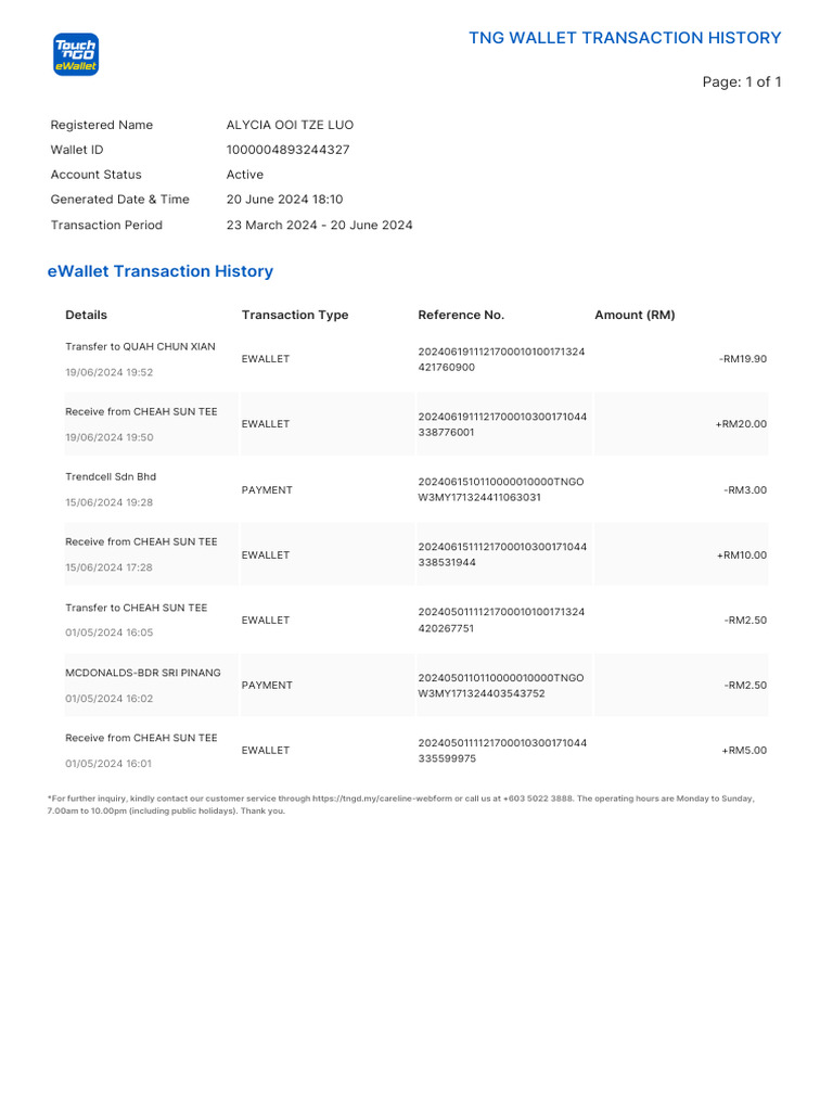 TNG Wallet Transaction Summary Report | PDF | Digital Technology ...