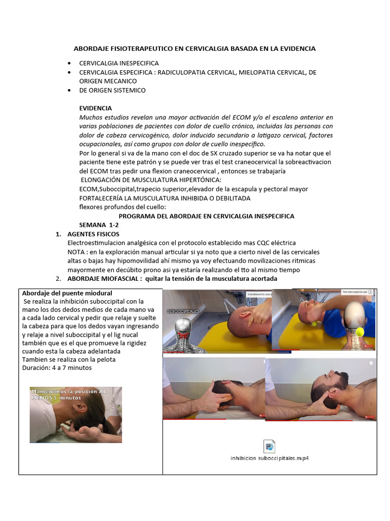 Abordaje fisioterapeutico en cervicalgia basada en la evidencia k pdf