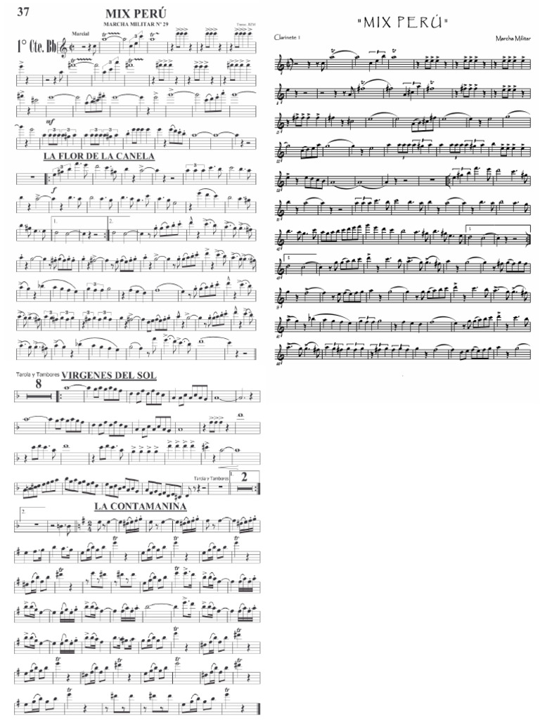 prtture-pdf