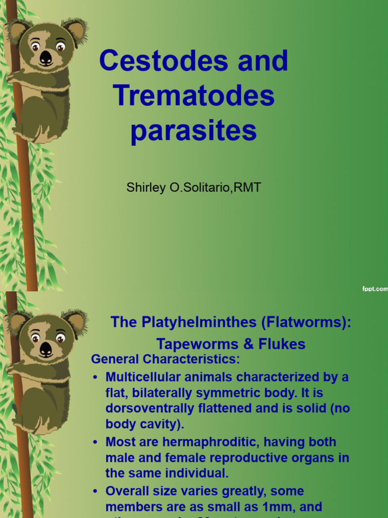 Cestodes & Trematodes: Parasite Guide | PDF | Medical Specialties ...
