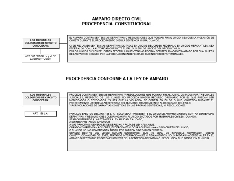 Amparo Directo Civil: Procedencia y Requisitos | PDF | Sentencia (ley ...