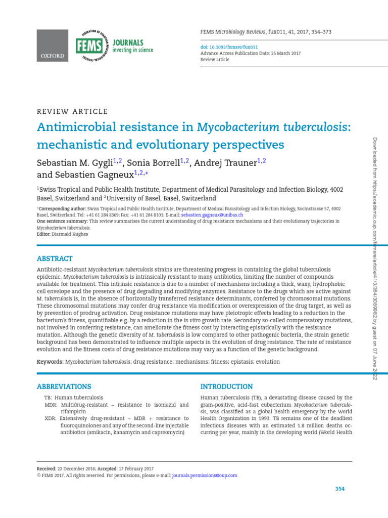 Amr M Tuberculosis Perspective Pdf Mycobacterium Tuberculosis