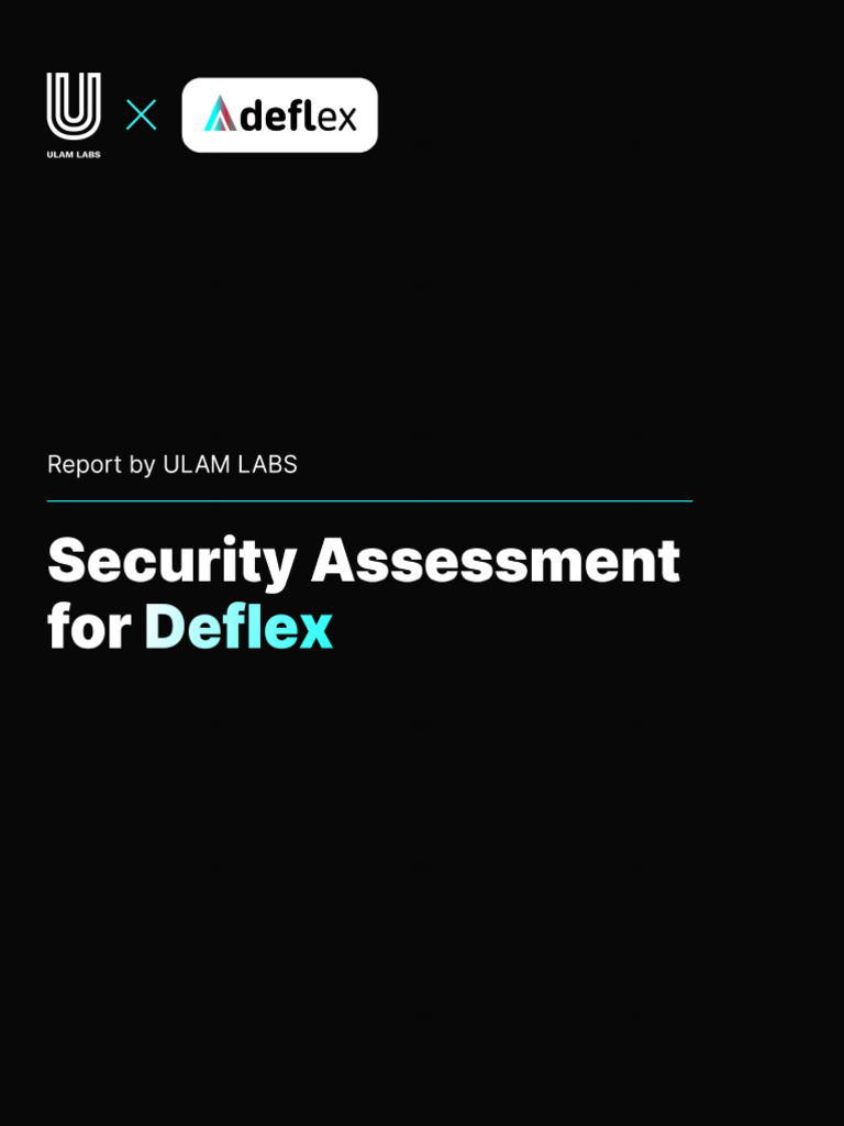 Deflex Security Assessment Report 2023 | PDF | Computing