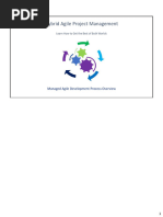 Rii Ebook PDF) Program Management 2nd Edition Instant Download