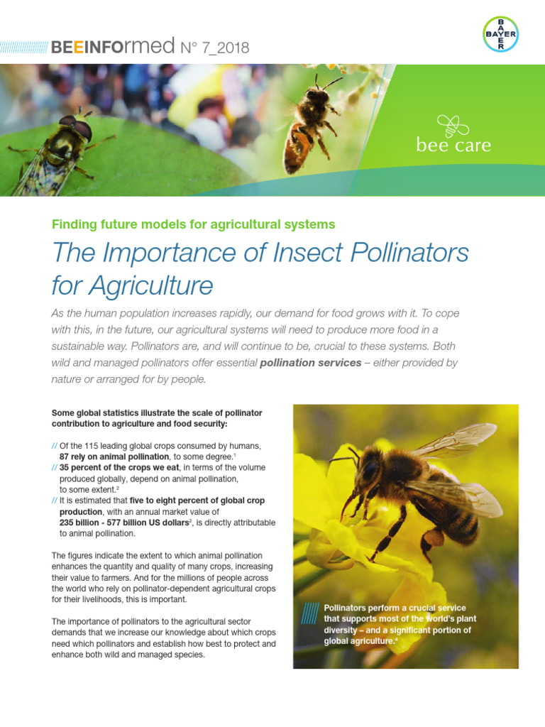 BEEINFOrmed_7_The-Importance-of-Insect-Pollinatorsjlouz8q1 | PDF ...