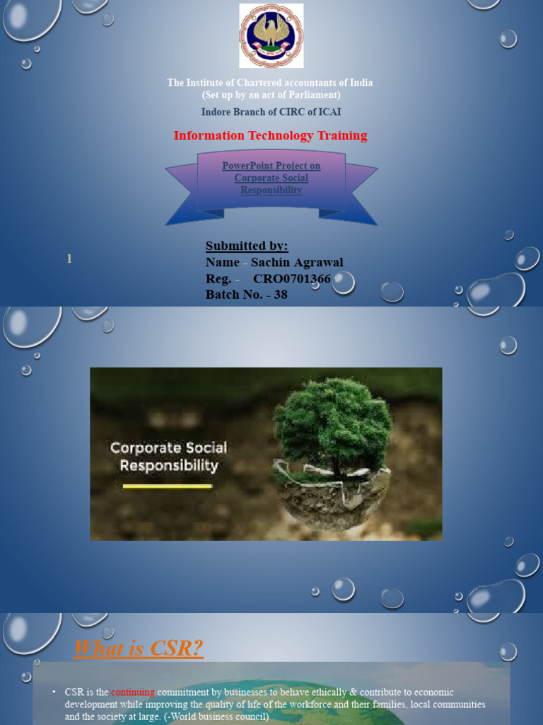 Corporate Social Responsibility Overview | PDF | Corporate Social ...