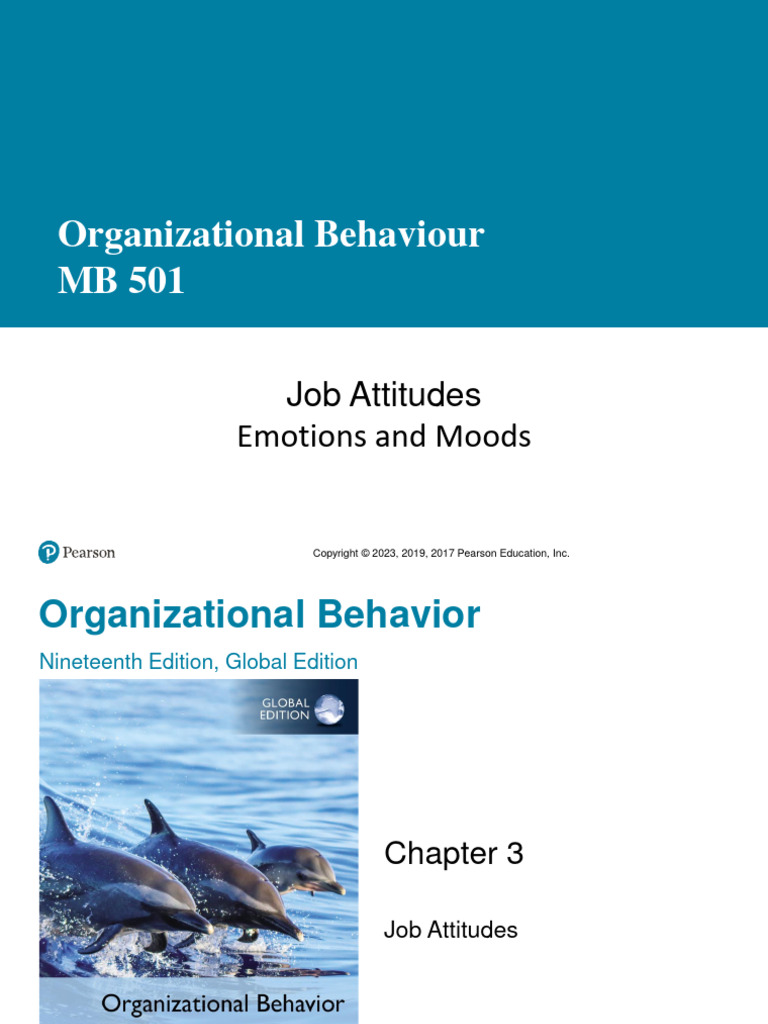 Lecture 2 | PDF | Job Satisfaction | Emotions