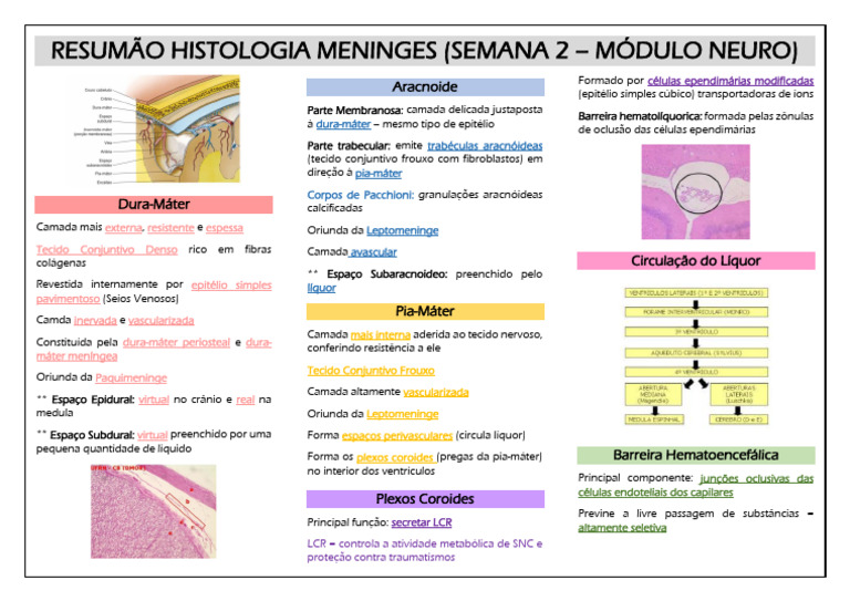 Histologia das Meninges e Líquor | PDF | Líquido cefalorraquidiano ...