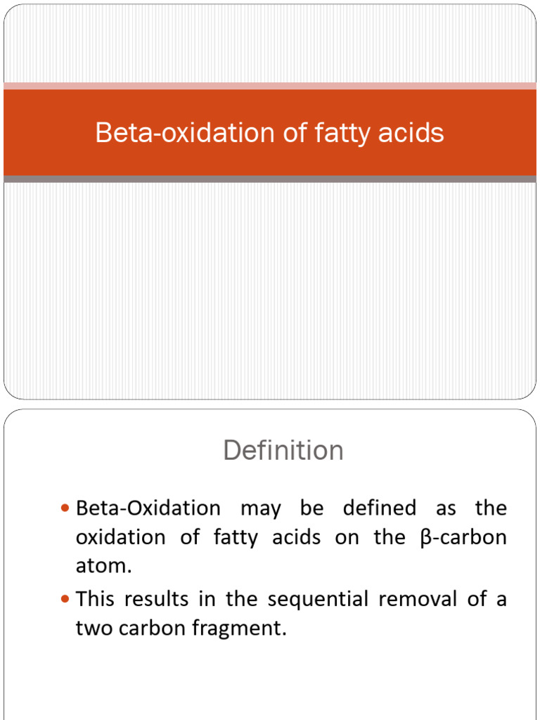 Beta Oxidation of Fatty Acids | PDF | Adenosine Triphosphate | Nutrients