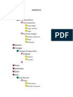 CLASIFICACION DE ANIMALES