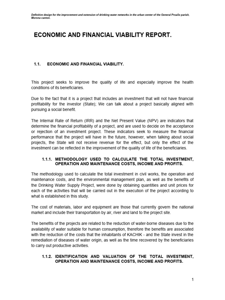 Financial Viability Assessment Template