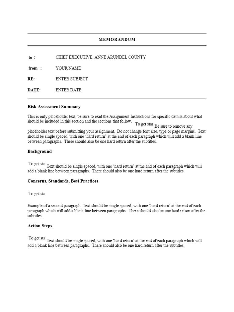 IFSM 201 Risk Assessment Memo | PDF