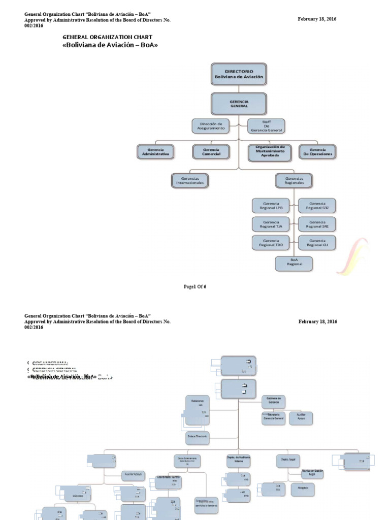 BOA Organization Chart | PDF | Business