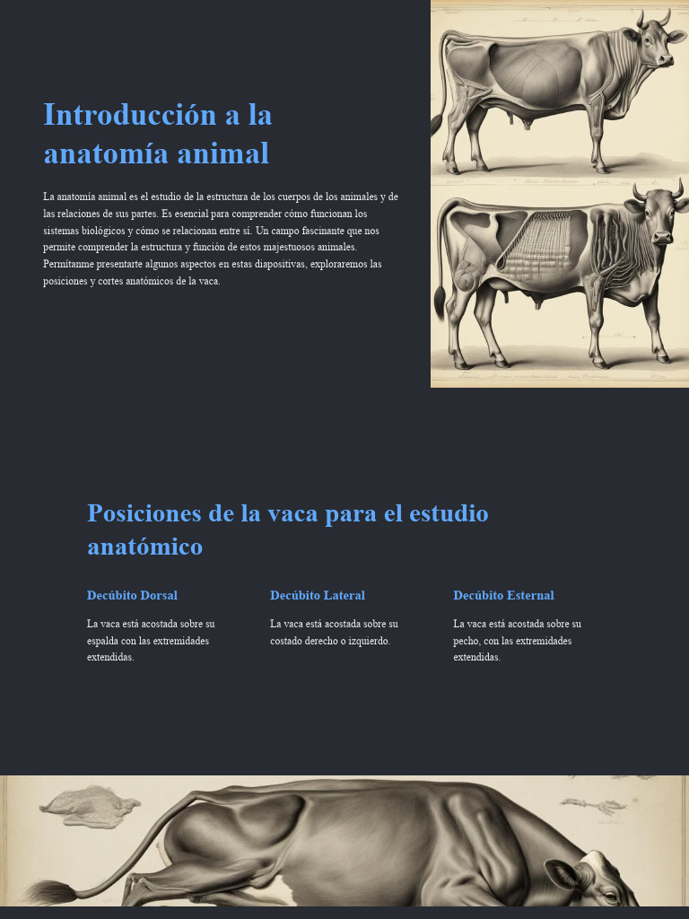 Introduccion A La Anatomia Animal Pdf Términos Anatómicos De Ubicación